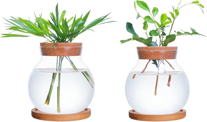Tabletop Plant Propagation Station,Aquatic Plant Culture Glass Mini vase,with Wooden Dish，Gifts for Plant Lovers, Suitable for desks, House, Garden Decorations (2pcs)