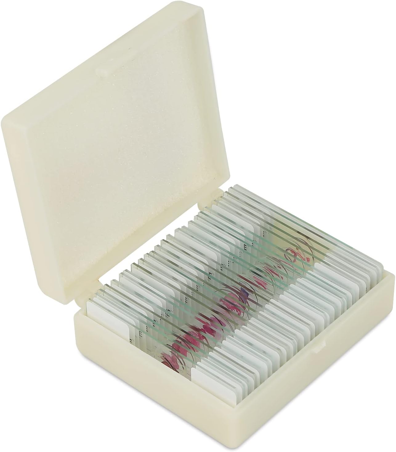 Mammal Anatomy Organ Tissue Specimens, 25 Similar to Human Tissue Prepared Microscope Slides Set for Students Hobbyists Beginners (Mammal Specimens)