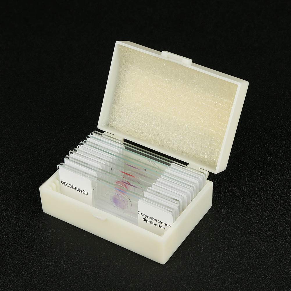 Prepared Bacterial Pathogens Microscope Slide Set, 12pcs Demonstrates The Bacteria Pathogens Responsible for Diseases of Animals