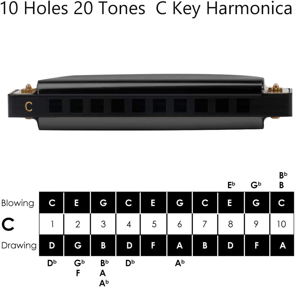 Randon Black Harmonica Key of C, 10 Holes Diatonic Harmonicas for Adults/Kids/Beginners, Blues Harmonica as Gift, with Case, Clean Cloth and Manual