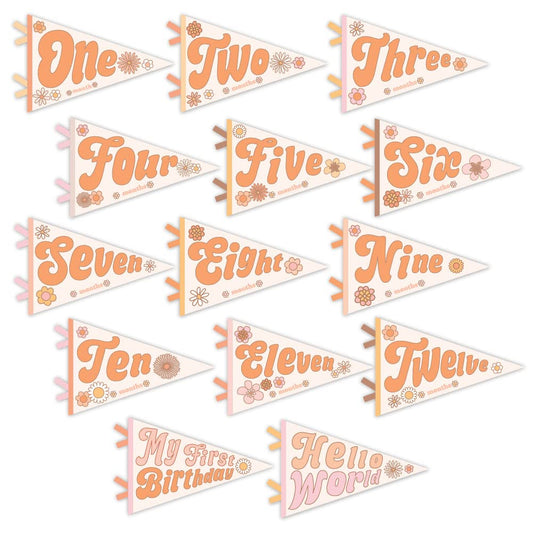 Lucy Darling Petit Milestone Pennants – Baby Monthly Milestone Pennant Flags – Newborn Photo Props & Felt Nursery Decor – Keepsake Banner Set for Baby Photos – Flower Child