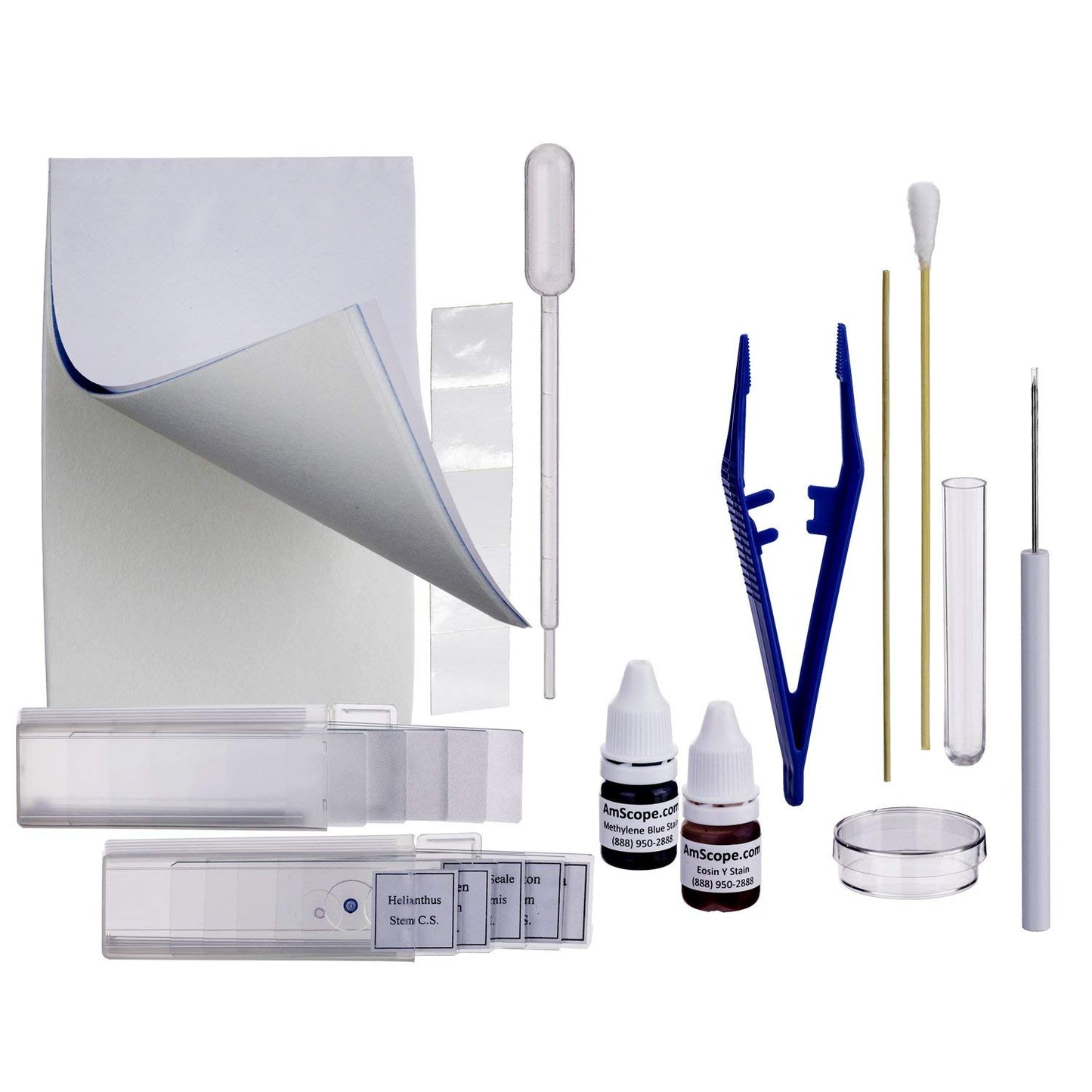 AmScope - 40X-1000X Biology Science Metal Glass Student Microscope with USB Digital Camera + Slide Preparation Kit - M158C-SP14-E