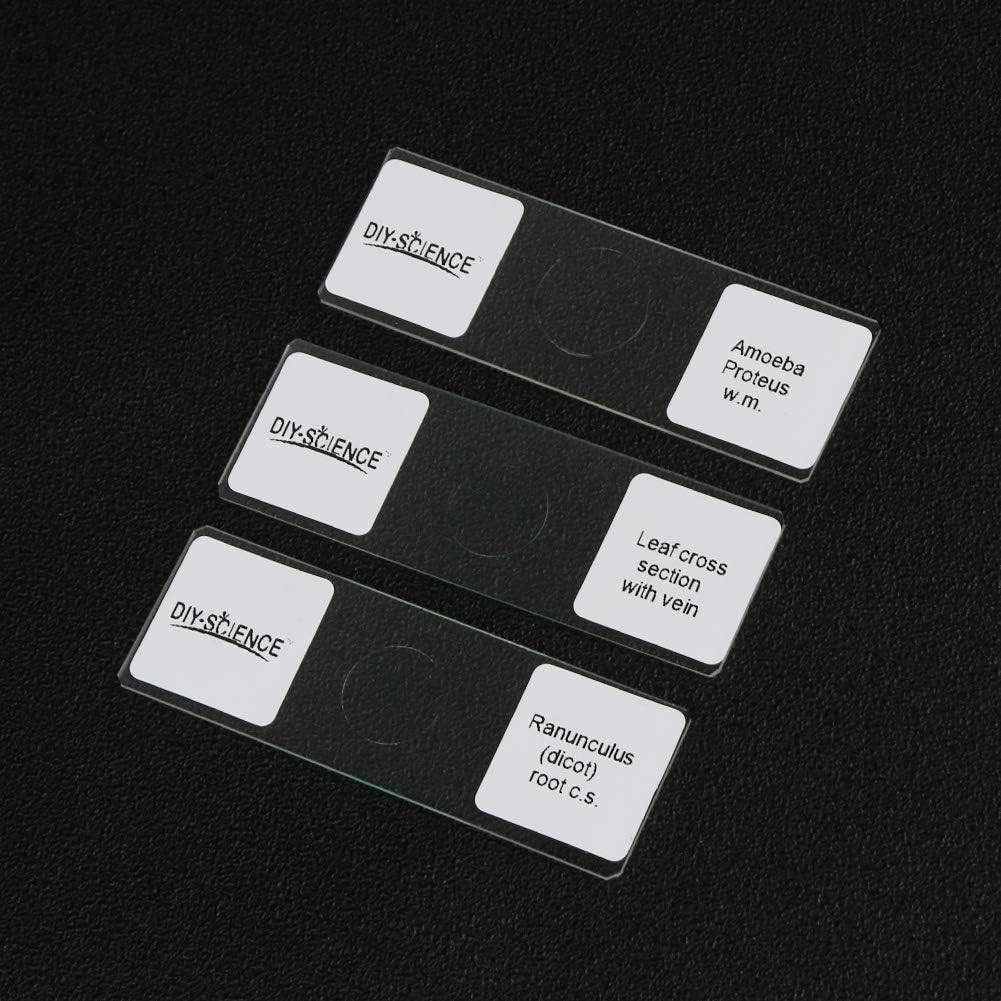 Prepared Microscope Slides Set for Apologia Biology, Pack of 16pcs Specimens Specifically for Biology Course (Apologia Slides)