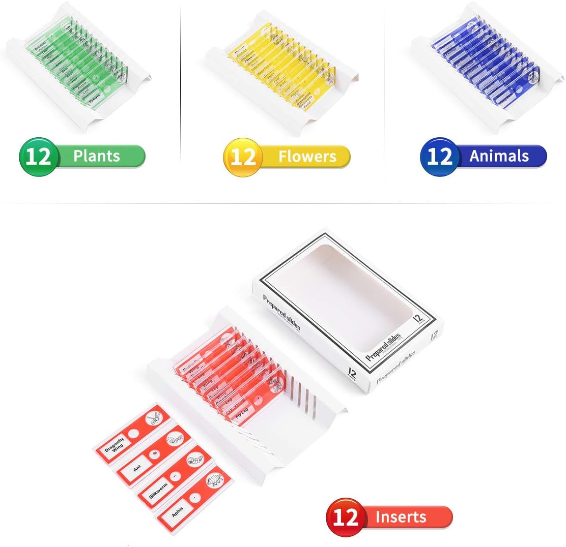 Plastic Prepared Microscope Slides for Kids, Cainda 48pcs Animals Insects Plants Flowers Sample Microscope Slides with Specimens for Students Adult Biology Science Programs