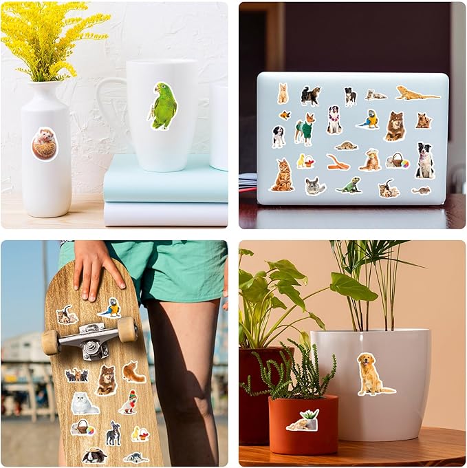 Pet Animals Stickers 660 Count Dog Cat Animal Pet Rabbit Parrot Fish Bird Reptiles Stickers Party Favors Gifts Sticky Decor for Scrapbook Calendar Planner Gift Wrap Decor
