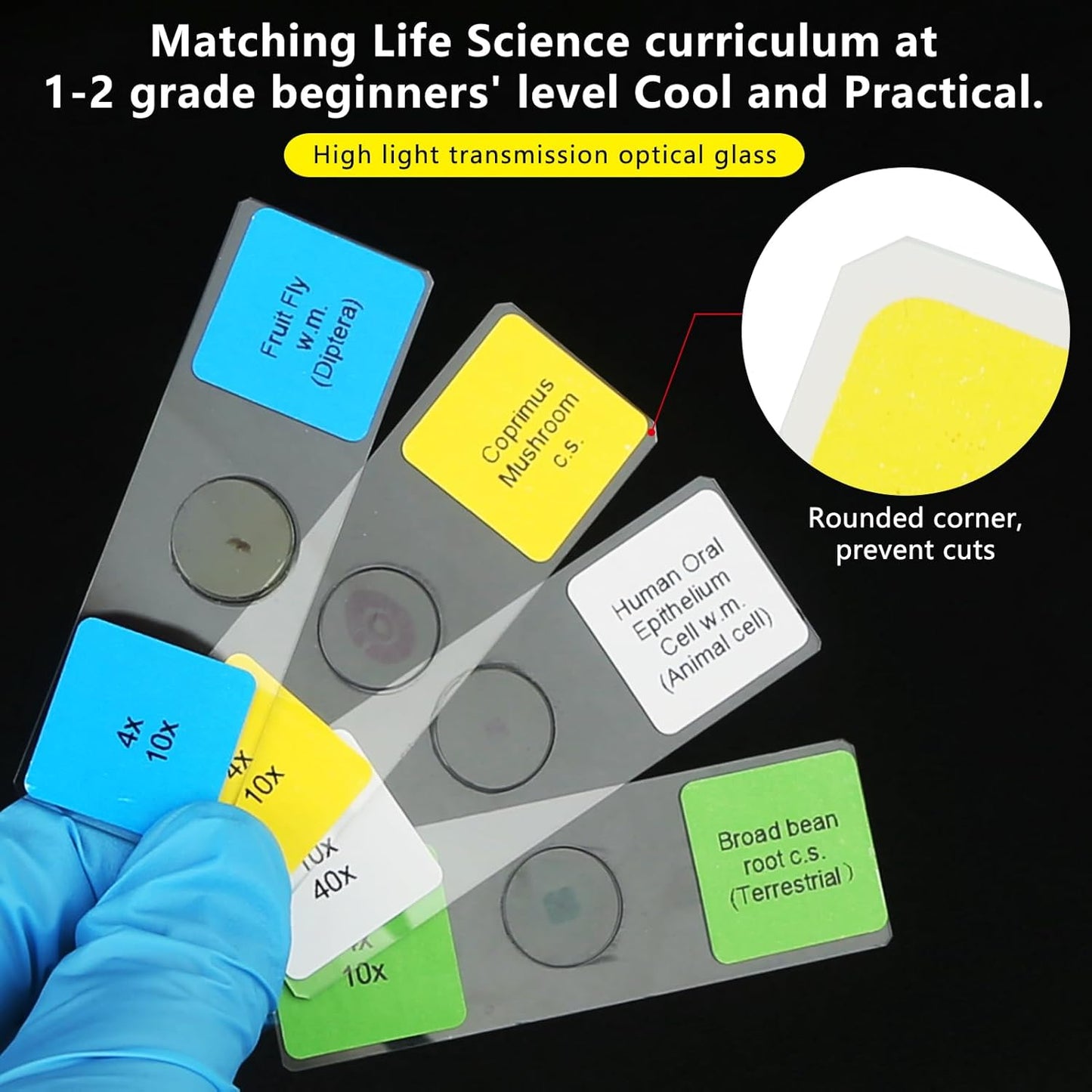 Microscope Slides with Specimens for Kids, 30 Lab-Grade Prepared Microscope Slides, Animal Plant Microbe Cells, STEM Biology Kit for Kids Ages 6-8 Homeschool, Classroom Labs & Science Education
