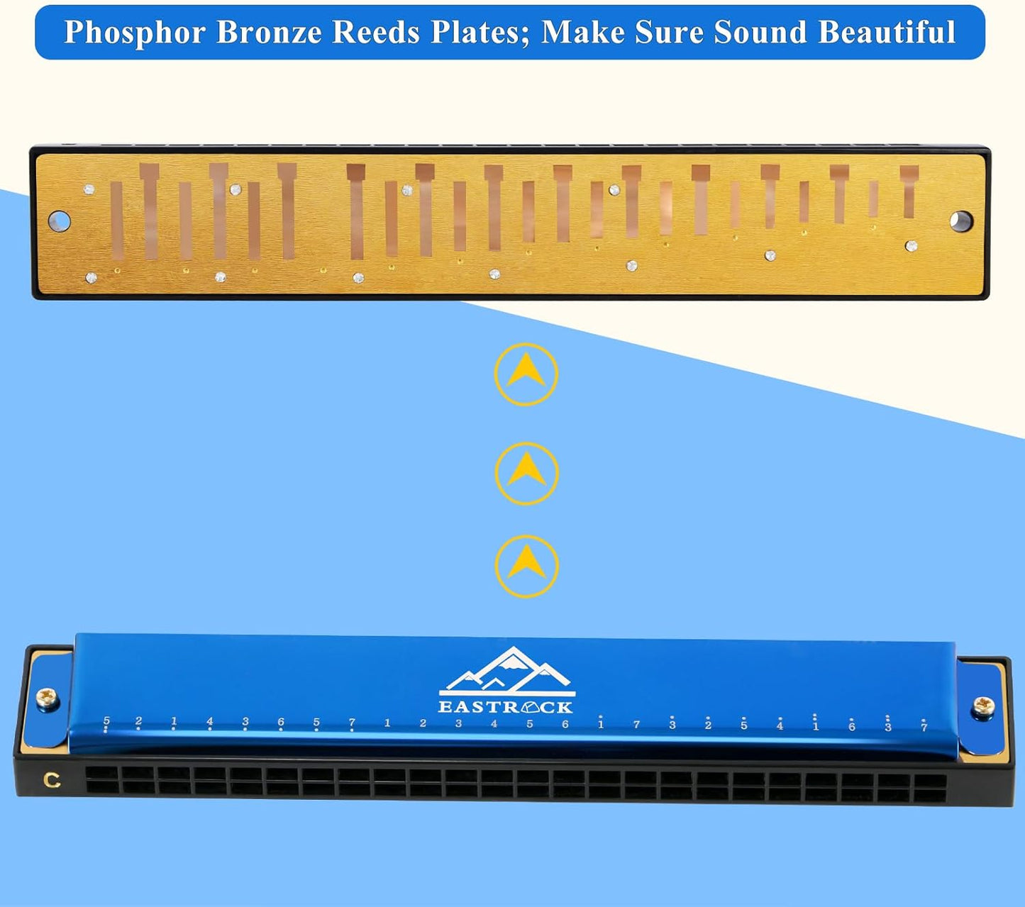 EastRock Blues Harmonica 24 Hole C Key with Case, Mouth Organ Harp, Diatonic Harmonica for Beginner