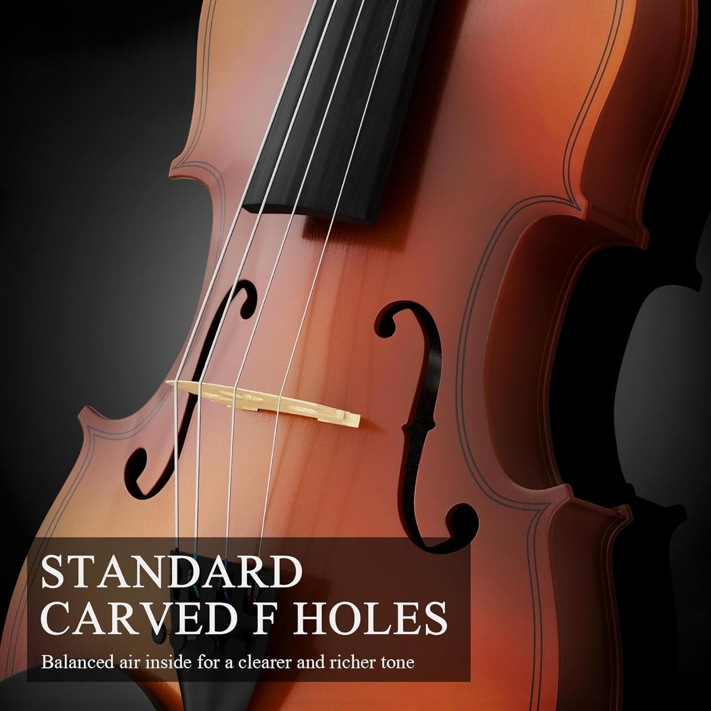 4/4 Beginner Violin Kit for Adults, Complete Full Size Violin Set with Portable Case, Bow, Rosin