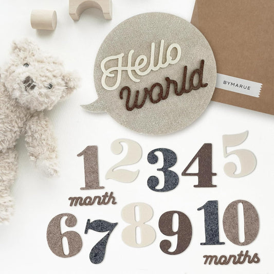Felt Speech Bubble Baby Monthly Milestone Signs, First Year Baby Photo Prop | Birth Announcement, Growth Tracking, Gender Neutral Baby Shower, Newborn Gift (Neutral)