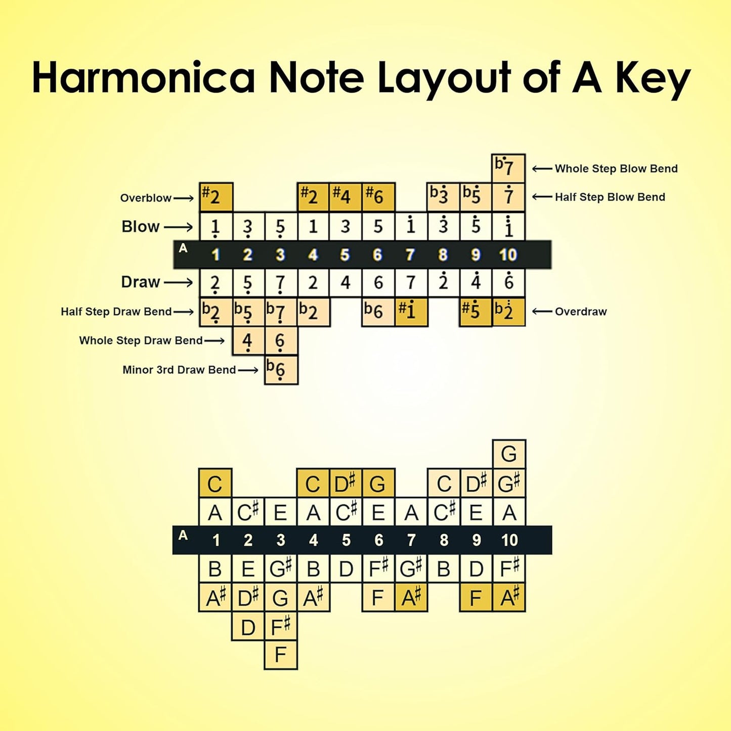 Diatonic Harmonica of A Key,Blues Mouth Organ 10 Holes 20 Tones, Reed of Phosphor Bronze, ABS Combo, Easy-Clean Cover,10 Holes Blues Harp for Adult, Beginner