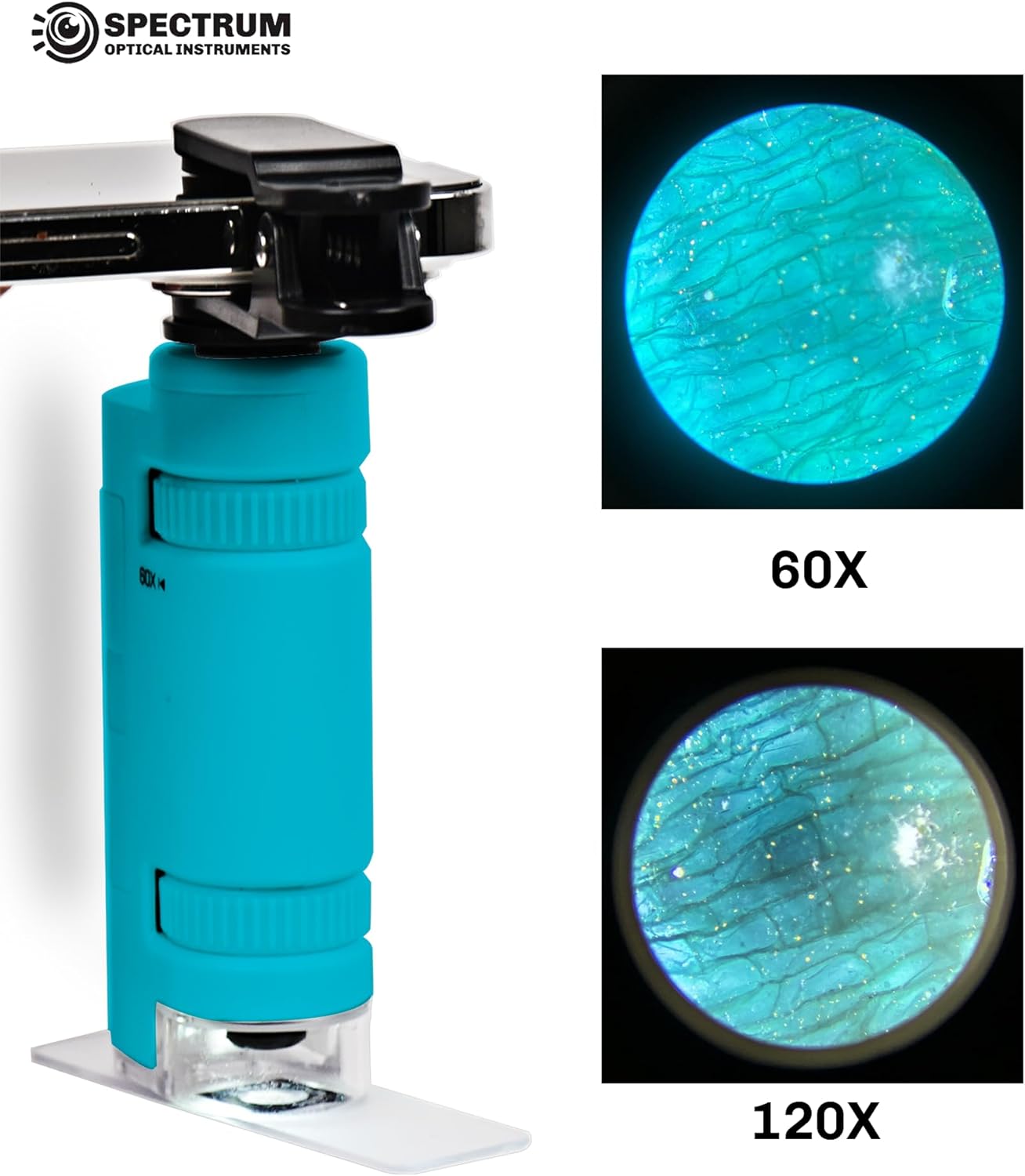 Mini Microscope for Kids, 60X-120X Portable Handheld Microscope with 8 Slide Samples, Blue