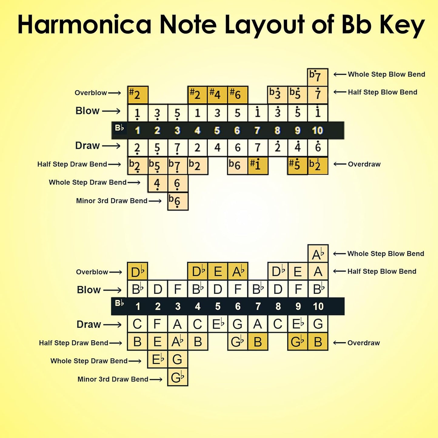 Diatonic Harmonica of B flat Key,Blues Mouth Organ 10 Hole 20 Tones, Reed of Phosphor Bronze, ABS Combo, Easy-Clean Cover,10 Hole Blues Harp for Adult, Beginner