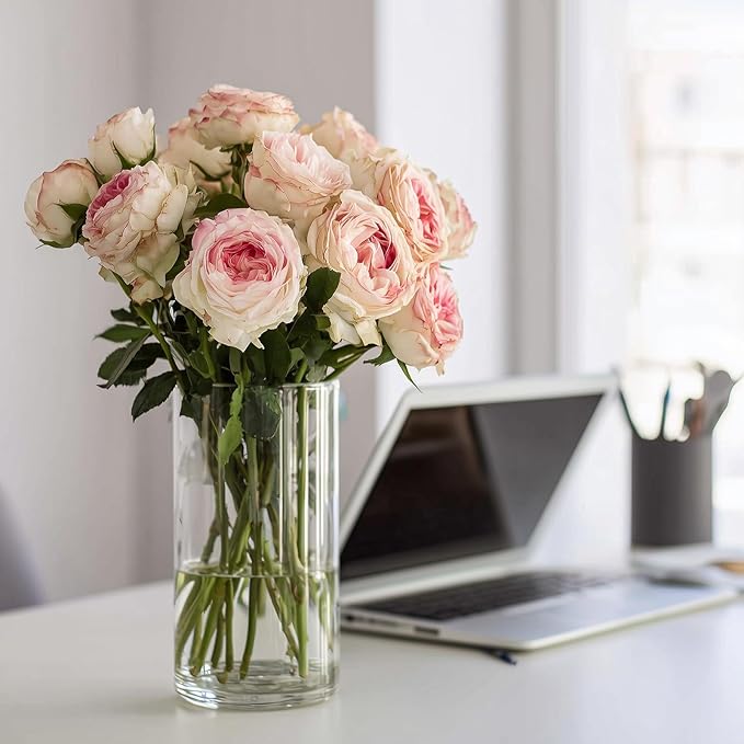 12pcs Clear Cylinder Vases for Centerpieces, Glass Flower Vases for Wedding Decorations and Home Decor, 6 Inch Glass Hurricane Candle Holder for Table Shelf