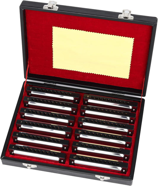 Swan Harmonica 10 Hole Blues Harmonica Set 7/12 Tone Set Suit Gift Box Mouth Organ Harmonica for Beginners Adluts (12 tone set)