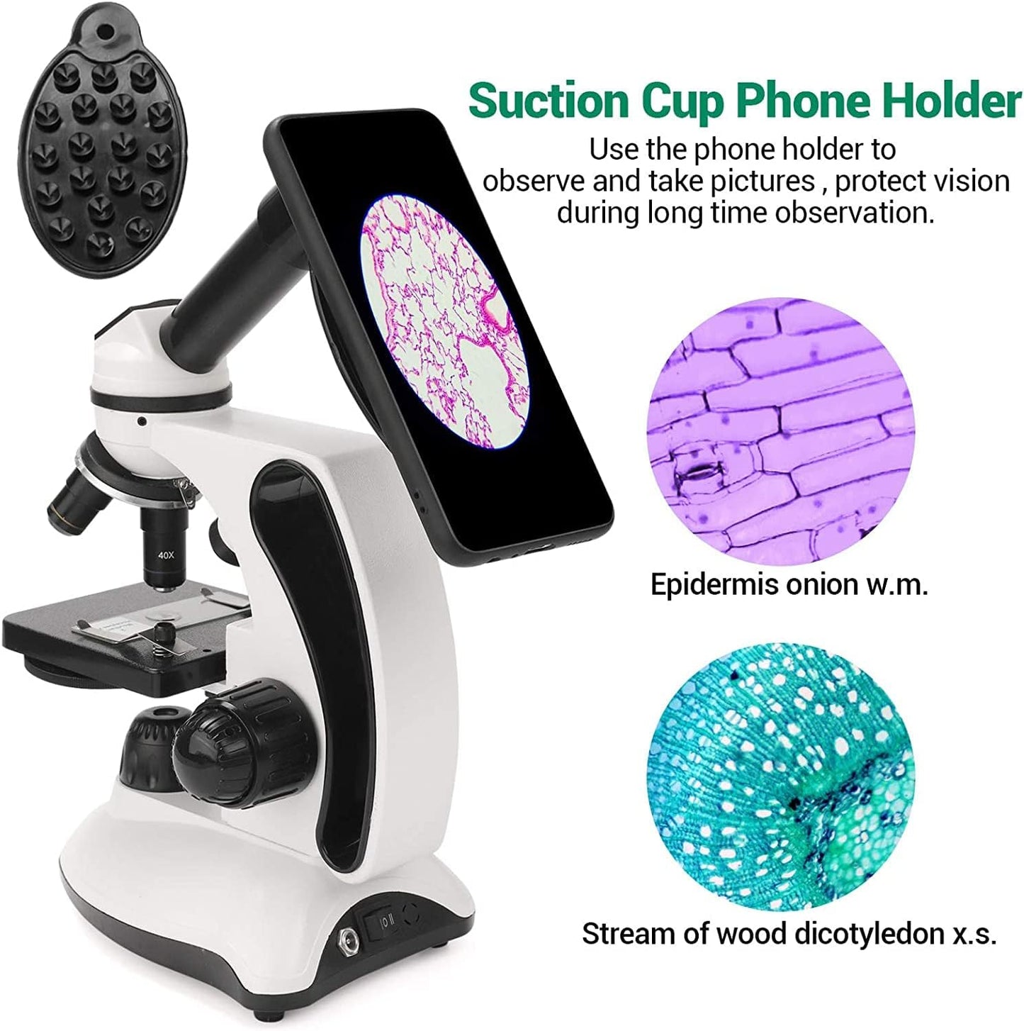 BNISE Microscope kit for Kids Adults Students, 40X-2000X Magnification, Prepared Slides Kit, Dual LED Illumination, All Glass Optics, and Cordless Capability for Children Beginner