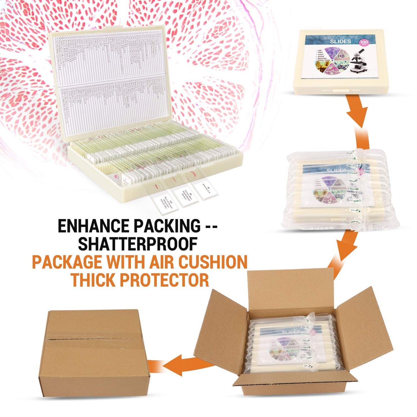 100Pcs Prepared Microscope Slides Set Professional Specimens for Kids Student Homeschool Use