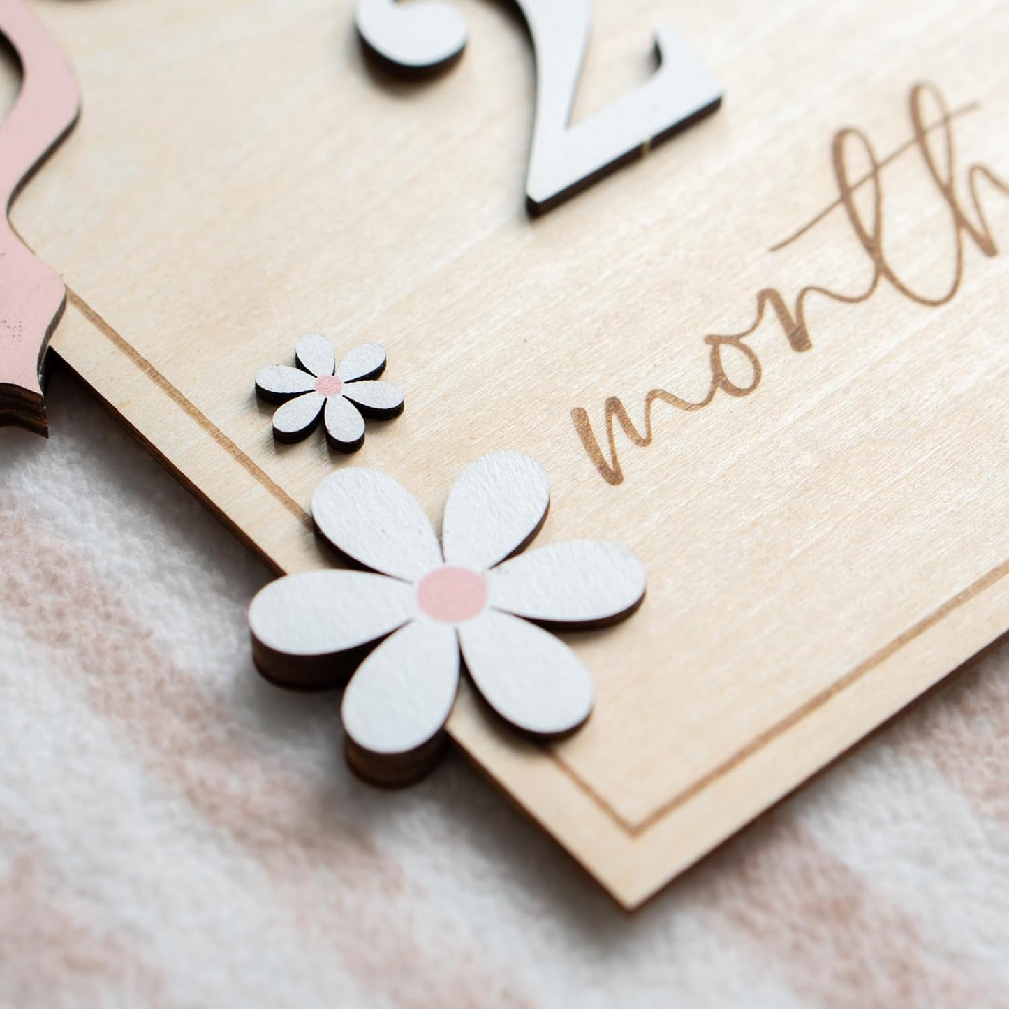 Baby Monthly Milestone Sign,1-12 Monthly Baby Milestone, Month Milestone Baby Girl, Baby Months Milestone, Newborn Photography Props Double-Sided (B14)