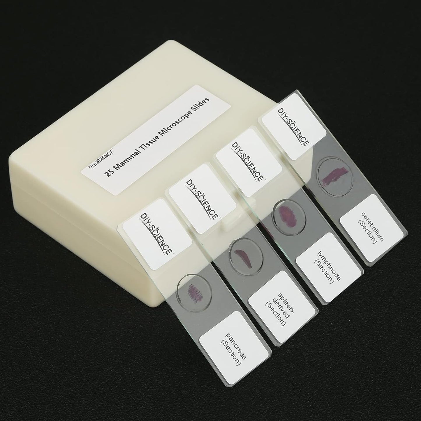 Mammal Anatomy Organ Tissue Specimens, 25 Similar to Human Tissue Prepared Microscope Slides Set for Students Hobbyists Beginners (Mammal Specimens)