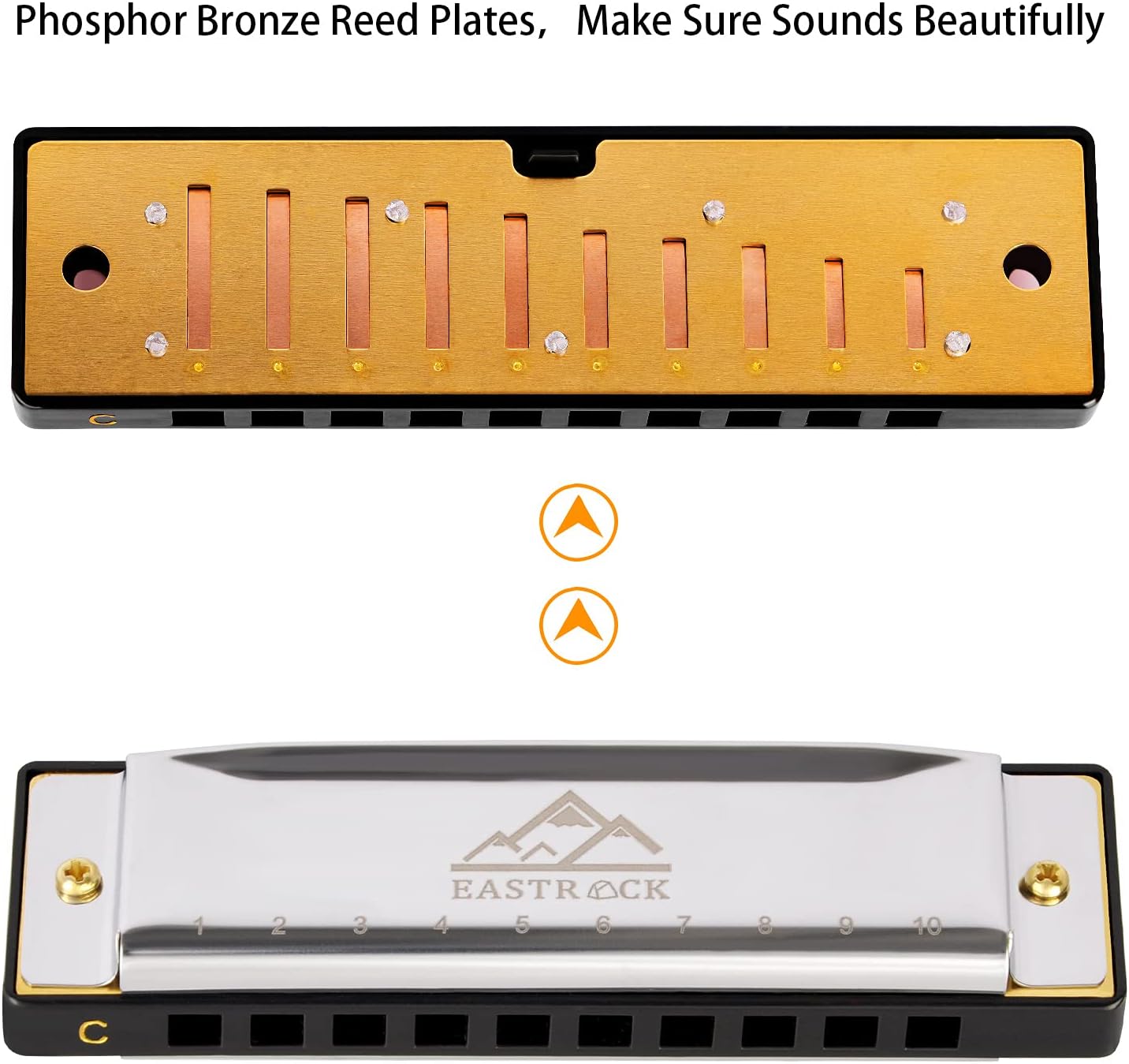 EastRock Blues Harmonica Mouth Organ Harp 10 Hole C Key with Case, Diatonic Harmonica for Beginner, Professional Player, Students gifts, Adult, Friends, Gift Silver