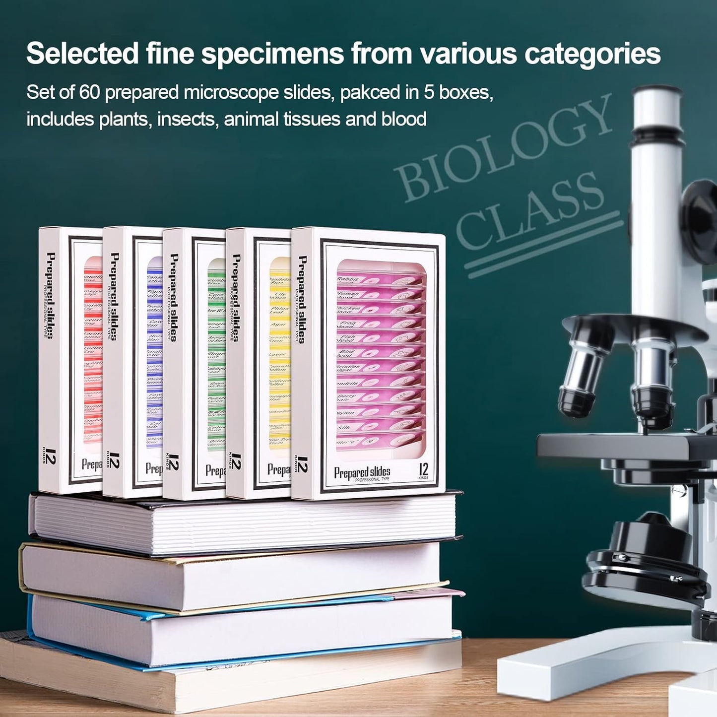 Prepared Plastic Microscope Slides with Specimens for Kids, Microscope Sample Slides Full Range of Animal/Plant/Insect/Blood Biology Slides Gift Set for Kids Microscope (60PCS)