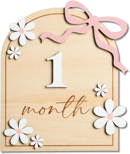 Baby Monthly Milestone Sign,1-12 Monthly Baby Milestone, Month Milestone Baby Girl, Baby Months Milestone, Newborn Photography Props Double-Sided (B14)