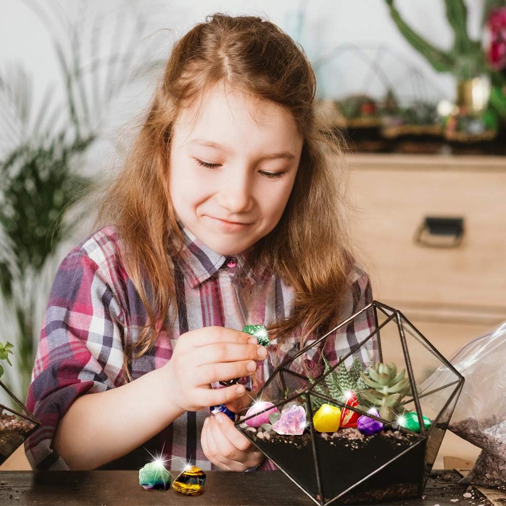 XXTOYS Rocks Collection - 15-Piece Rock Collections for Kids - Cool Geology Gem Kit with Identification Sheet - Gemstones Set Box with Learning Guide and Storage Case - Educational Gift for Kid