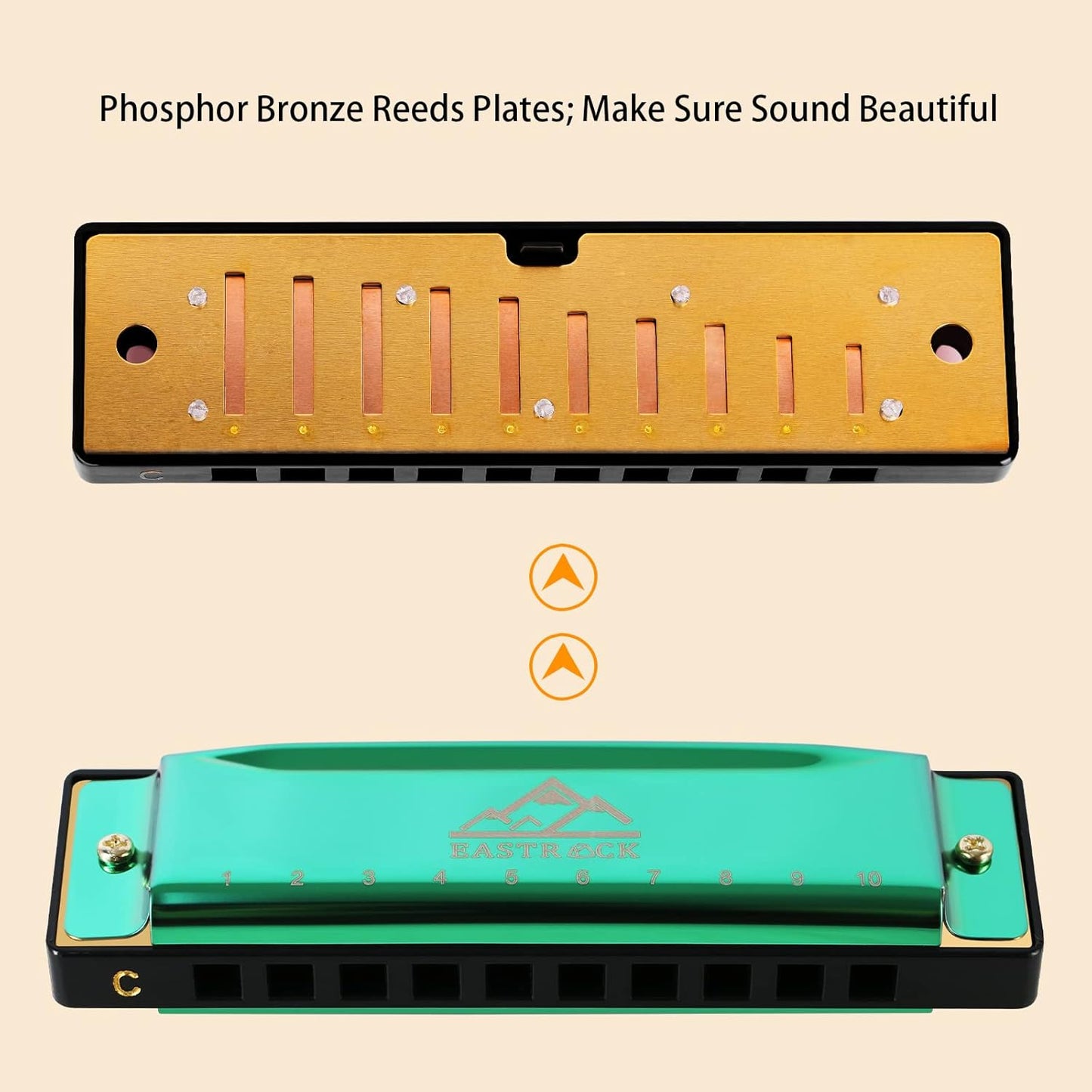 EastRock Blues Harmonica Mouth Organ 10 Hole C Key with Case, Diatonic Harmonica for Professional Player, Beginner, Students gifts, Adult, Friends, Gift