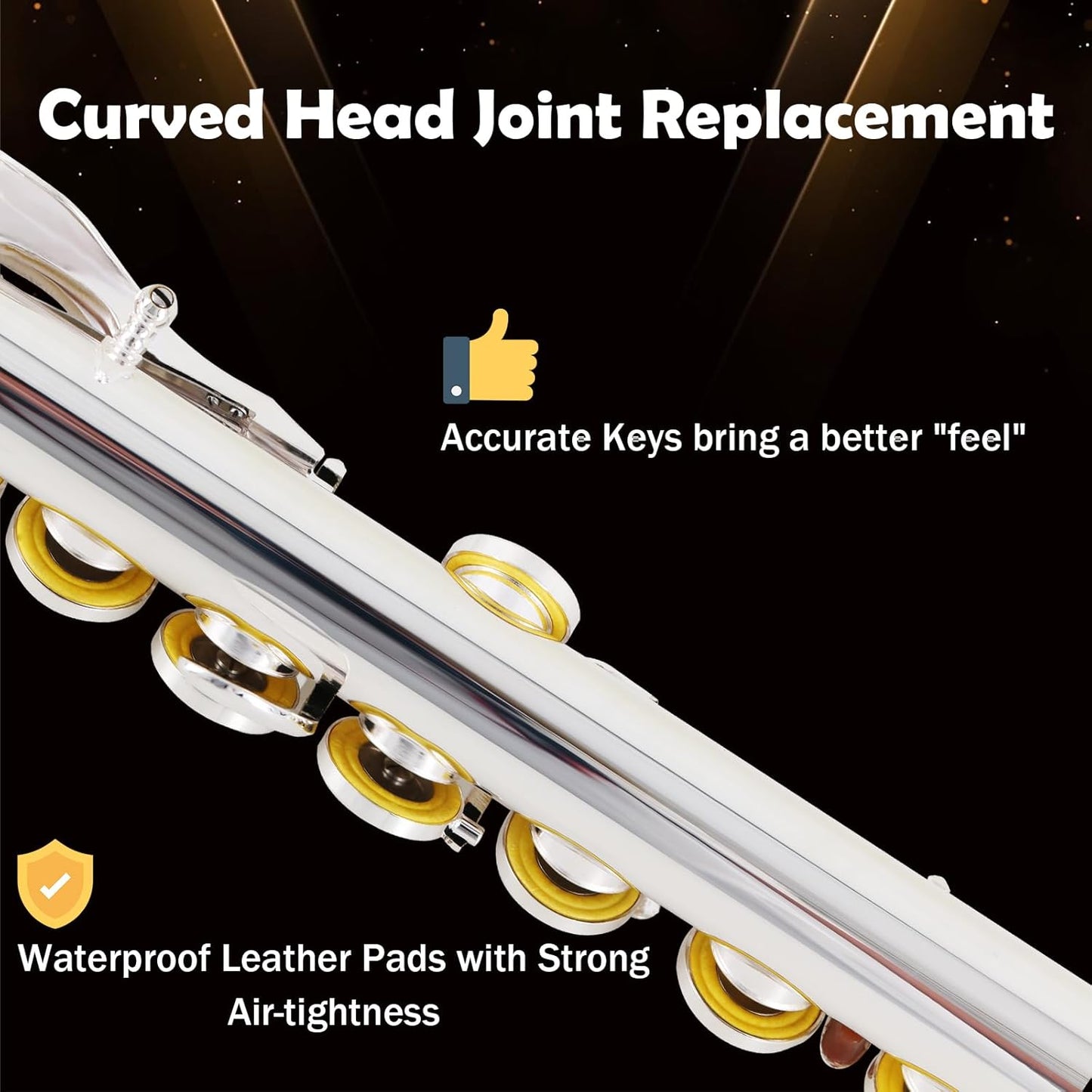 EASTROCK Silver Plated C Flute Closed Hole 16 Keys Flute Instrument with Curved Head Joint Mouthpiece Replacement,Cleaning Kit,Stand,Carrying Case,Gloves,Tuning Rod for Beginners Kids Students