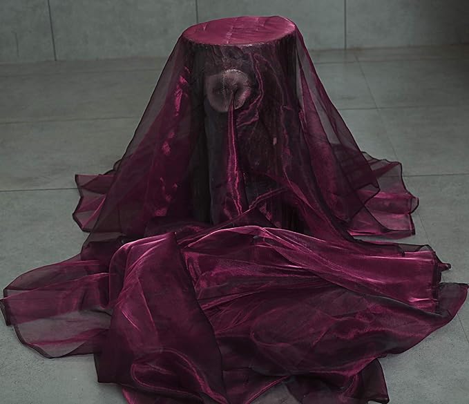 VDS Eggplant Organza Fabric, 50 Yards Continuous, 45” Wide, Wedding Party Decoration Iridescent Crystal Sheer Shiny Organza Tulle Bridal Dress DIY Crafts Costume Sewing Backdrop Arch Cloth