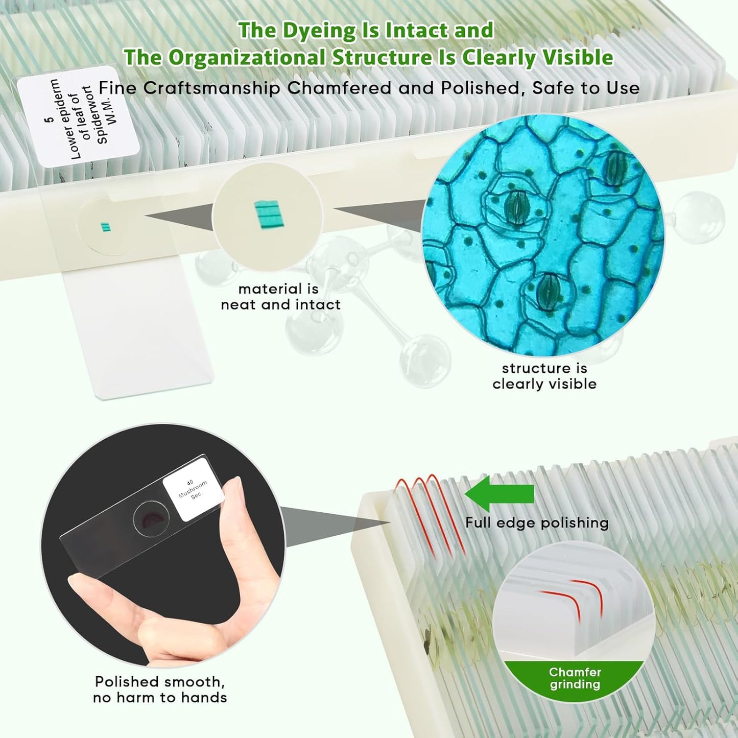 120 Microscope Slides with Specimens,Prepared Microscope Slides for Kids,Glass Slides for Microscope,Prepared Slides for Kids Microscope,Microscope Slide Preparation Kit for Biology Science Classes