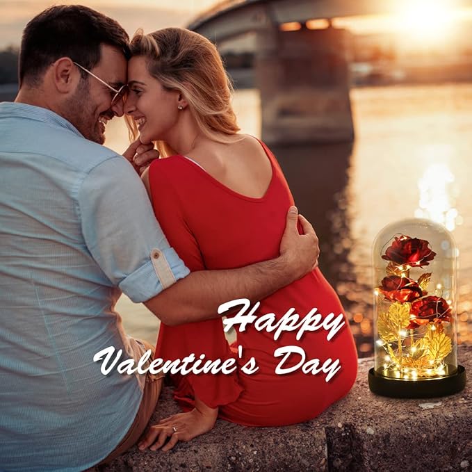 Beauty and The Beast Rose,Preserved Flowers Bouquets Gifts,Light Up Rose Flower in Glass Dome,Birthday Gifts for Women,Mom,Girlfriend Wife Anniversary,Valentines,Thanksgiving,Christmas,Wedding