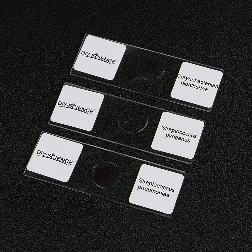 Prepared Bacterial Pathogens Microscope Slide Set, 12pcs Demonstrates The Bacteria Pathogens Responsible for Diseases of Animals