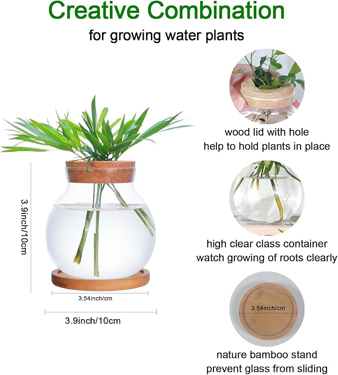 Tabletop Plant Propagation Station,Aquatic Plant Culture Glass Mini vase,with Wooden Dish，Gifts for Plant Lovers, Suitable for desks, House, Garden Decorations (2pcs)