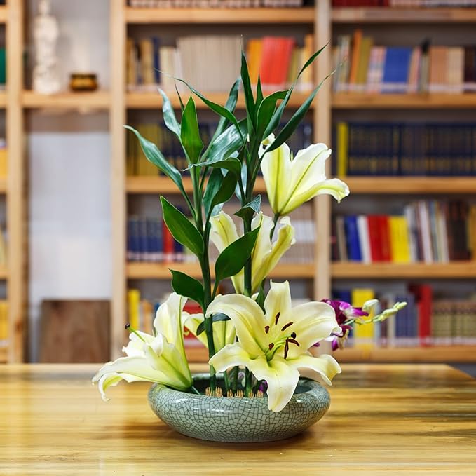 Kritkin 24 Pieces Flower Frogs Holder Mini Floral Round Flower Japanese Arranger Fixed Pin Holder for Arrangements Floral Plant Small Vase Ikebana Decoration Supplies Plant Fixation(0.9 Inch,Gold)