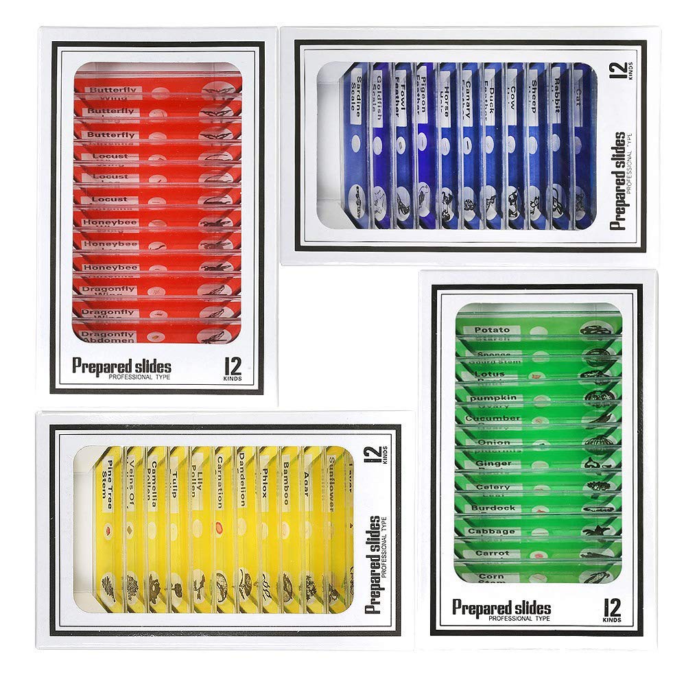 Prepared Microscope Slides for Kids, 48pcs Plastic Animals Insects Plants Flowers Sample Specimens for Students Children Homeschooling Biology Science Programs