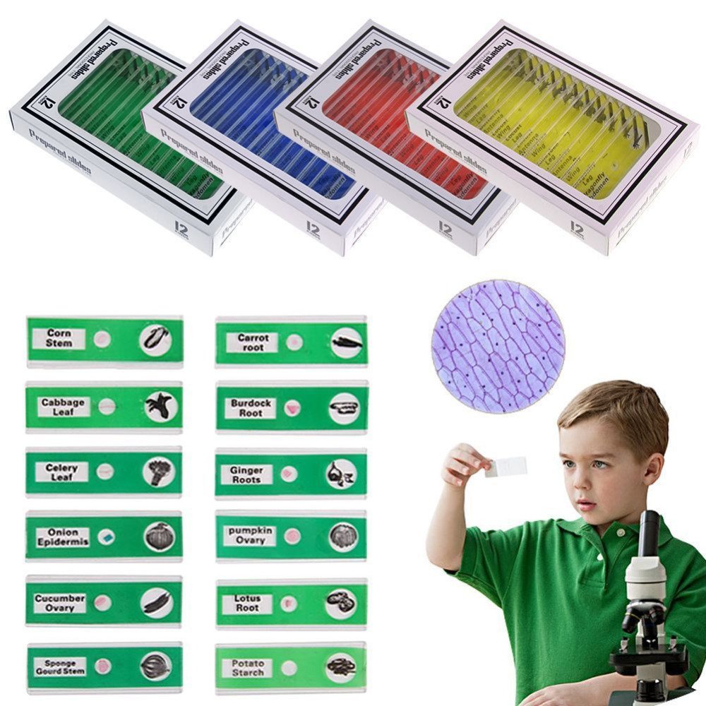Prepared Microscope Slides for Kids, 48pcs Plastic Animals Insects Plants Flowers Sample Specimens for Students Children Homeschooling Biology Science Programs