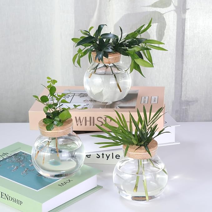 Tabletop Plant Propagation Station,Aquatic Plant Culture Glass Mini vase,with Wooden Dish，Gifts for Plant Lovers, Suitable for desks, House, Garden Decorations (2pcs)
