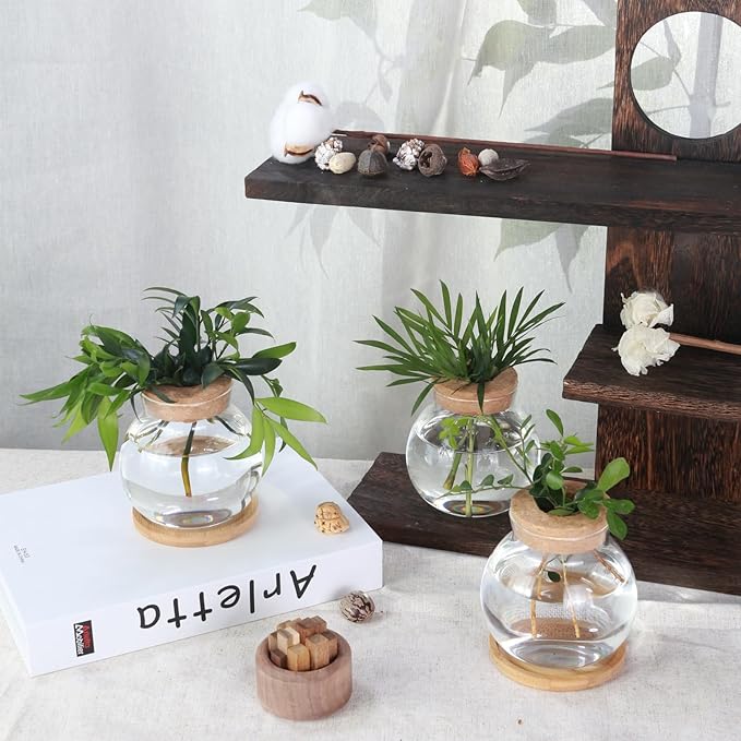 Tabletop Plant Propagation Station,Aquatic Plant Culture Glass Mini vase,with Wooden Dish，Gifts for Plant Lovers, Suitable for desks, House, Garden Decorations (2pcs)
