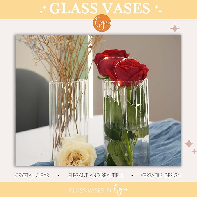 12pcs Glass Vase Cylinder Vases for Centerpieces Small Flower Glass Vases Bud Vases Home Decor Centerpiece Table Flower Vase Decorations for Office Beautification＆Holiday 6 Inch Tall