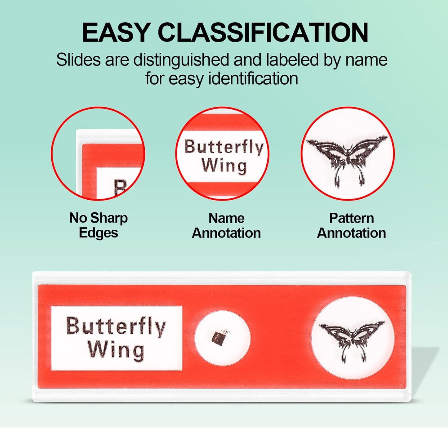 Prepared Plastic Microscope Slides with Specimens for Kids, Microscope Sample Slides Full Range of Animal/Plant/Insect/Blood Biology Slides Gift Set for Kids Microscope (60PCS)