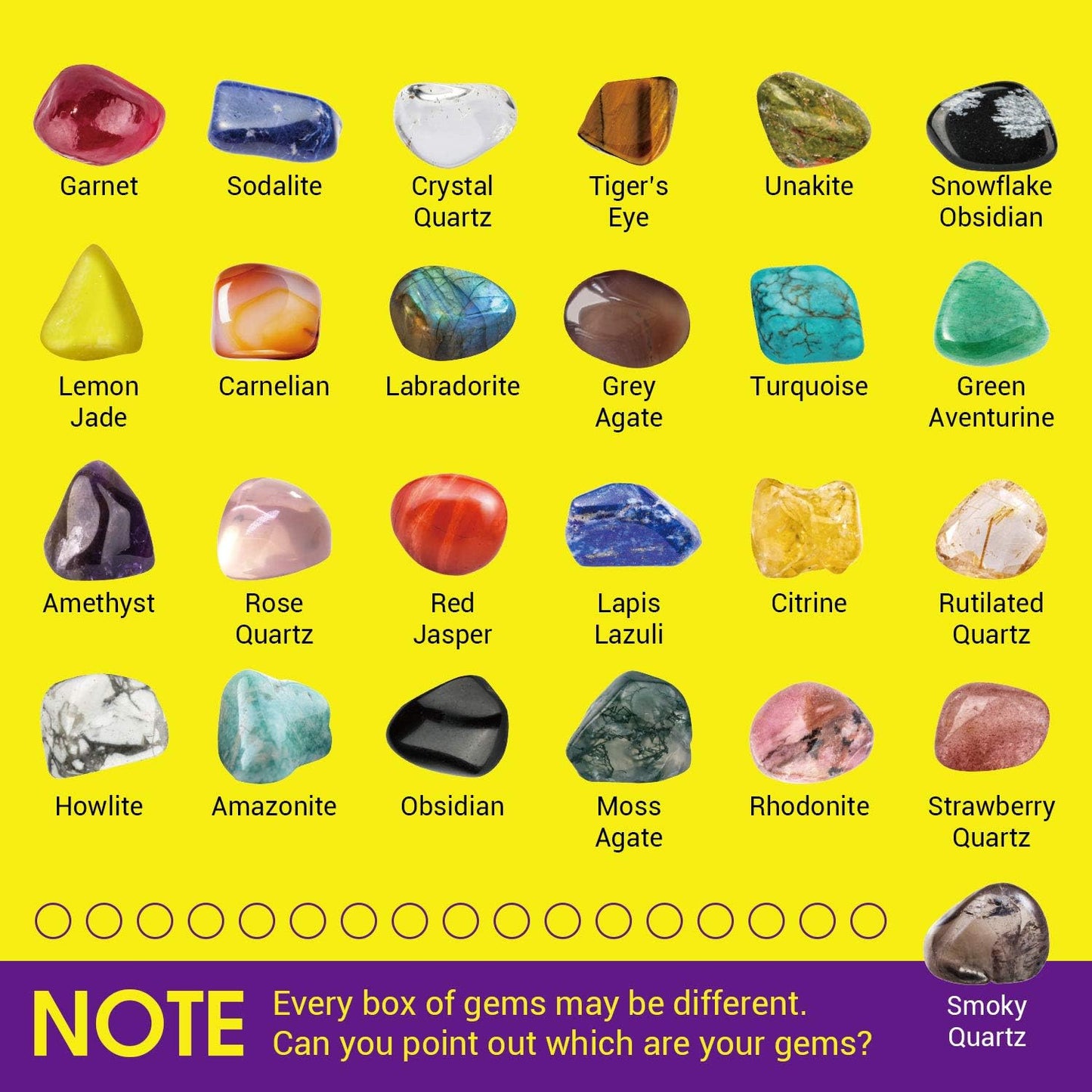 XXTOYS Rocks Collection 25PCS Rock and Mineral Education Set Gemstones for Kids Geology Gem Kit with Healing Chakra Gemstones, Tumbled Stones and More Identification Guide STEM Science Education