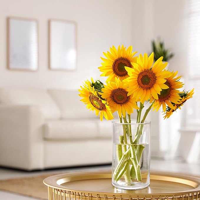 6 Pack Clear Glass Cylinder Vases, 6 Inch Flowers Vase, Floating Candle Holder for Table Centerpiece, Ideal for Wedding, Party Supplies and Home Decor