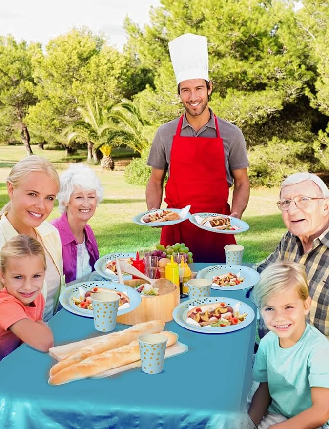 141 Pieces Light Blue and Gold Party Supplies, Party Dinnerware Sets Include Paper Plates Napkins Cups Silverware, for Wedding Bridal Shower Engagement Birthday Parties Decoration -20 Serves