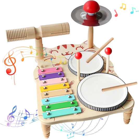 Kids Drum Set -5 in 1 Musical Instruments for Toddlers, Baby Percussion Instruments Preschool Educational Toys, Xylophone Tambourine Birthday Gifts for Boys and Girls(Big Kids Drum Set)