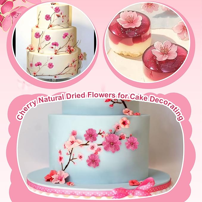 101 PCS Pressed Cherry Blossom for Crafts, Pink Dried Pressed Flowers for Resin DIY Jewelry Making Cake Card Scrapbook Decor, Dried Sakura Flowers for Soap Candle Making