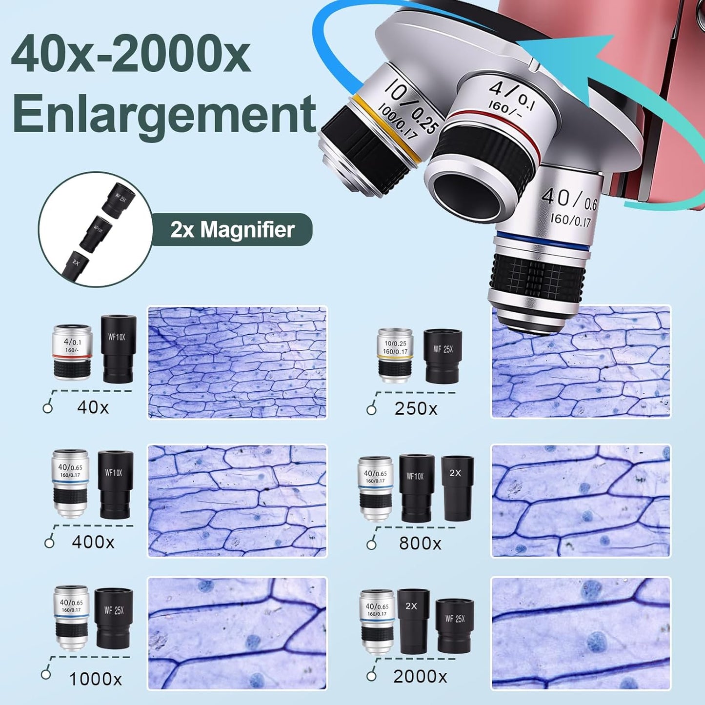 Microscope for Kids 40X-2000X with LED supplemental Light, Slides and specimens, Microscope for Kids 8-12 for School Labs and homeschooling.