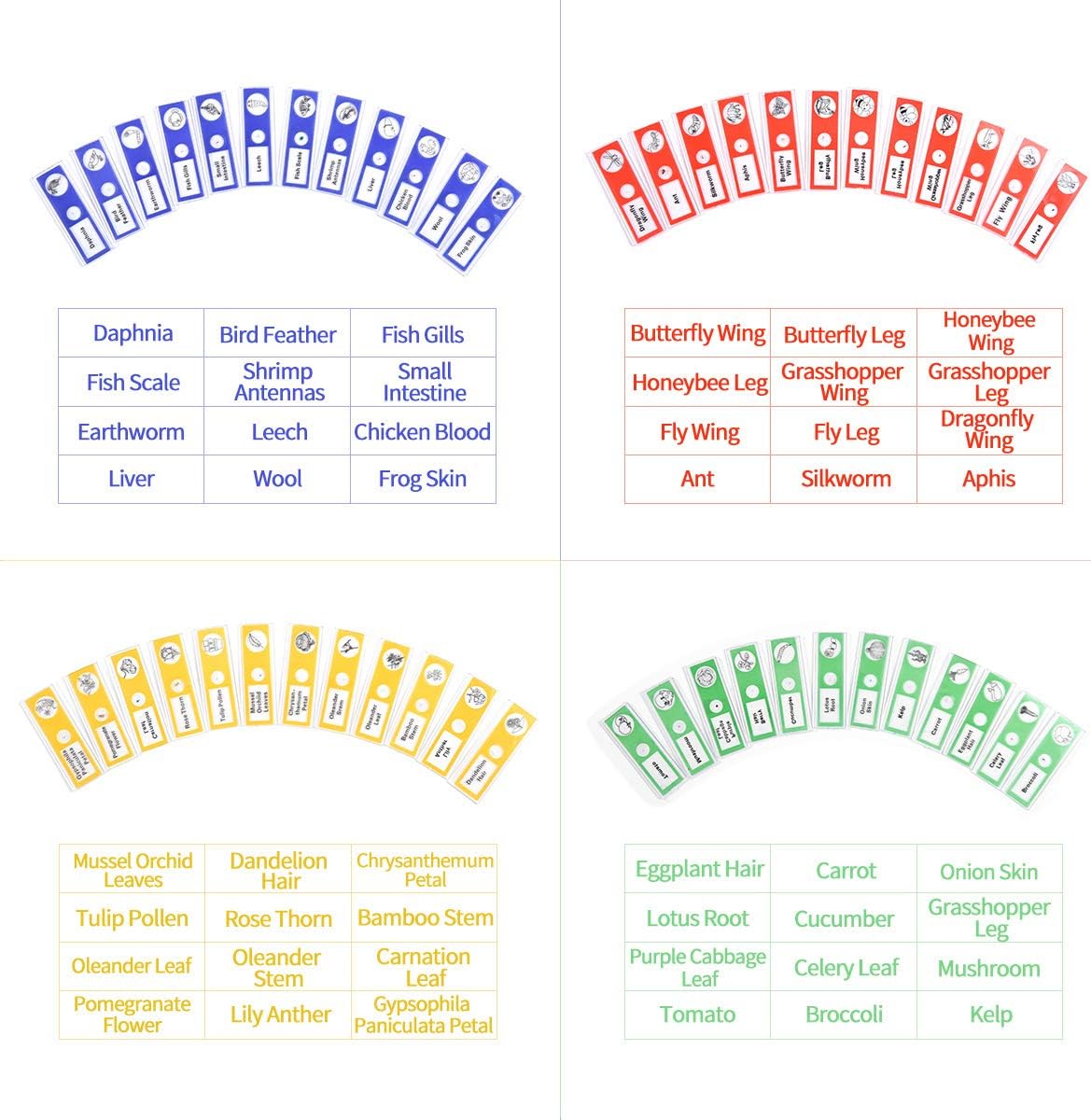 Plastic Prepared Microscope Slides for Kids, Cainda 48pcs Animals Insects Plants Flowers Sample Microscope Slides with Specimens for Students Adult Biology Science Programs