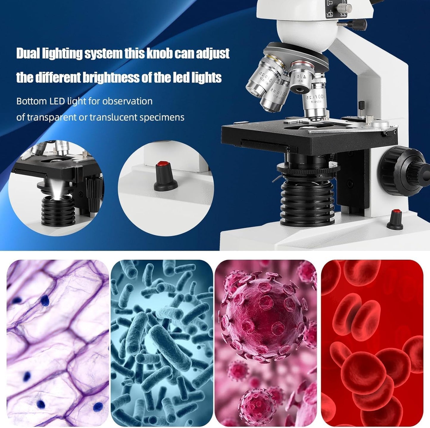 Compound trinocular Microscope, 40X-5000X Magnification, Digital Laboratory trinocular Compound LED Microscope with USB Camera and Mechanical Stage, WF10x and WF20x eyepieces, Abbe Condenser…