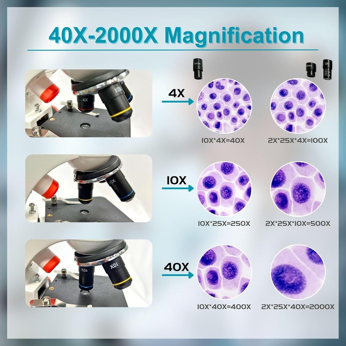 Mental Compound Microscope for Kids Students Adults,40X-2000X, Experience Kits for Home Education,School Laboratory with Phone Adapter