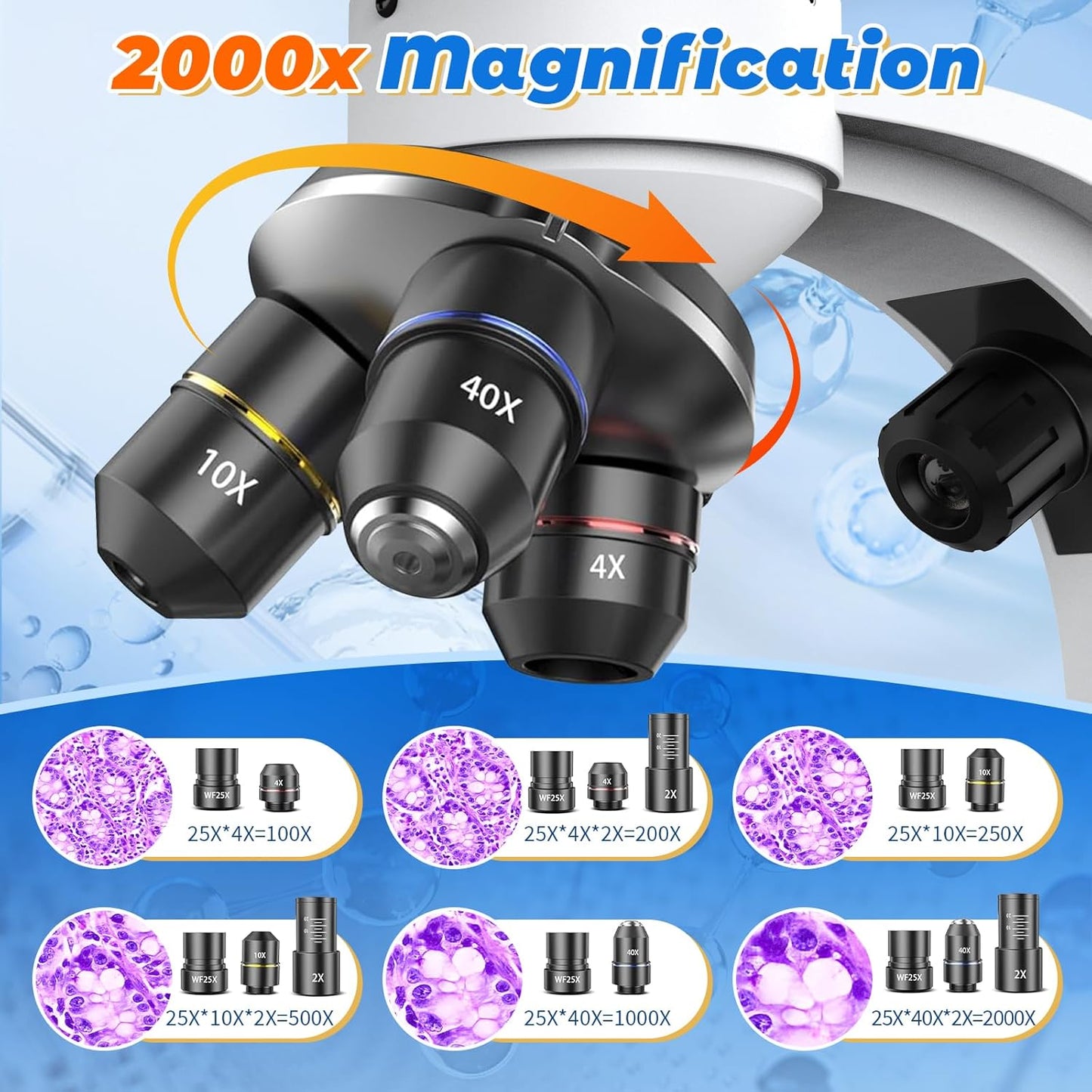 Compound Binocular Microscope for Kids & Adults - 40X-2000X Magnification Professional Microscopes with Slides - Kids Microscope Kit for School & Family Science Education Equipment
